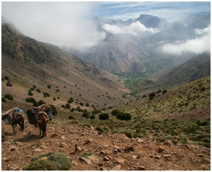 Morocco Atlas trekking,Atlas hiking,Toubkal trips in Morocco