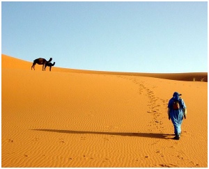 adventure 3 days Merzouga camel trip from Marrakech,private 3 days Marrakech to desert tour