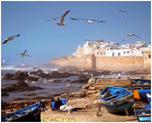 private Marrakech day trip to Essaouira,adventure Essaouira full day excursions