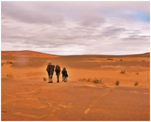 Morocco Atlas trekking,Atlas hiking,Toubkal trips in Morocco